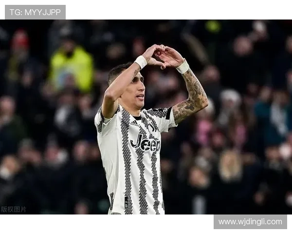 迪马利亚职业轨迹 迪马利亚职业轨迹