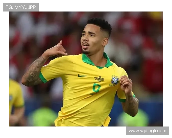 南美洲顶级联赛解析