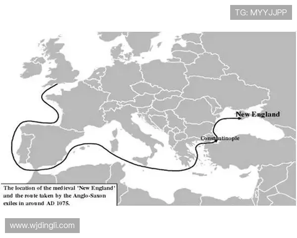 达姆斯高职业轨迹:从北西兰到布伦特福德的稳步成长